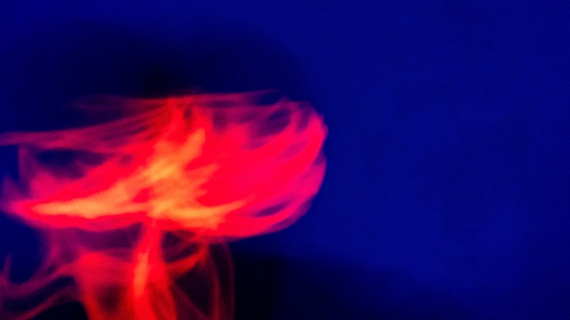 Overdrive, fotografia 76