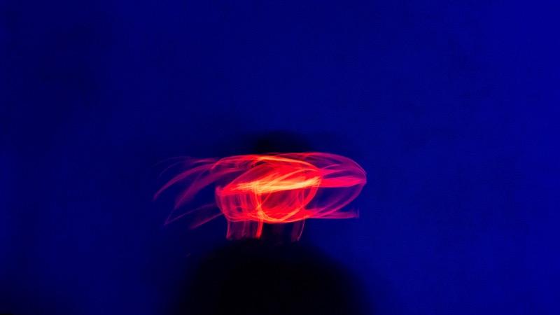 Overdrive, fotografia 88