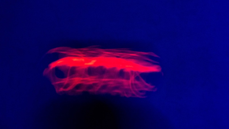 Overdrive, fotografia 100