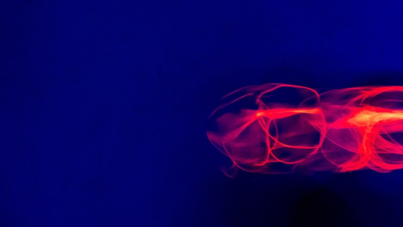 Overdrive, fotografia 104