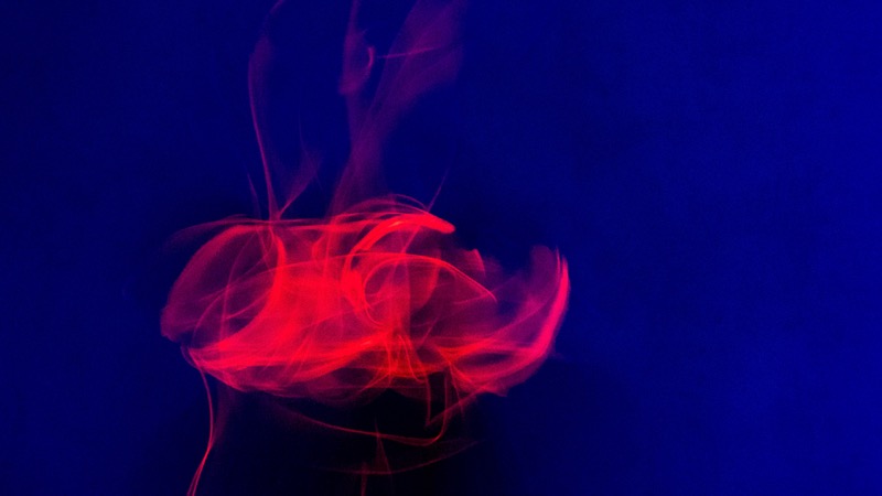 Overdrive, fotografia 107