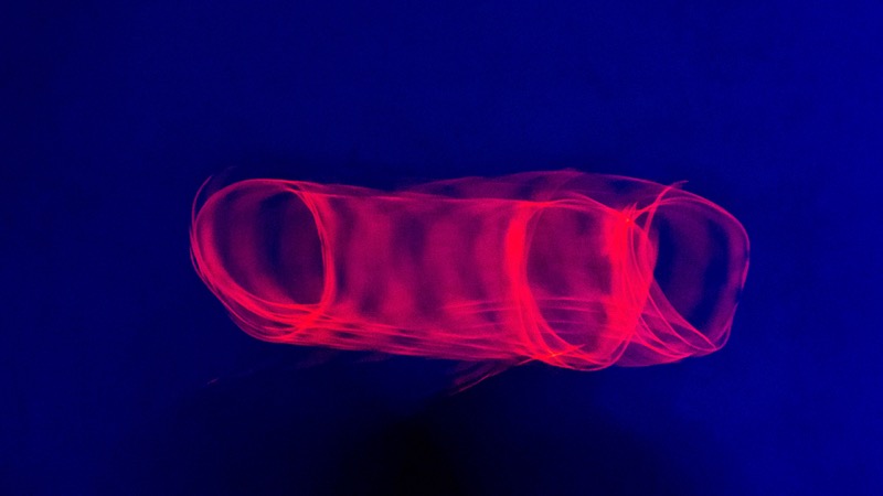 Overdrive, fotografia 122