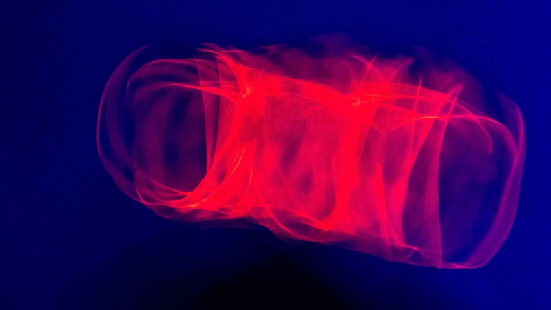 Overdrive, fotografia 129