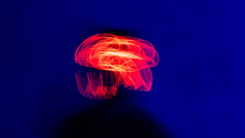 Overdrive, fotografia 139