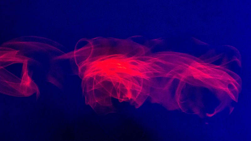 Overdrive, fotografia 143