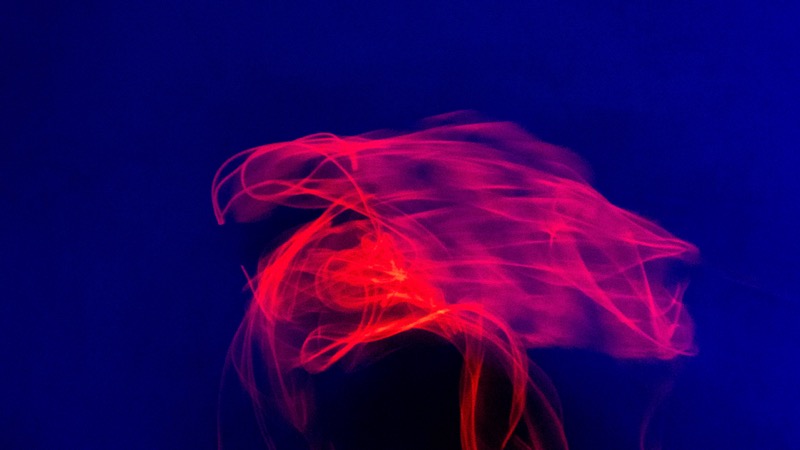 Overdrive, fotografia 145