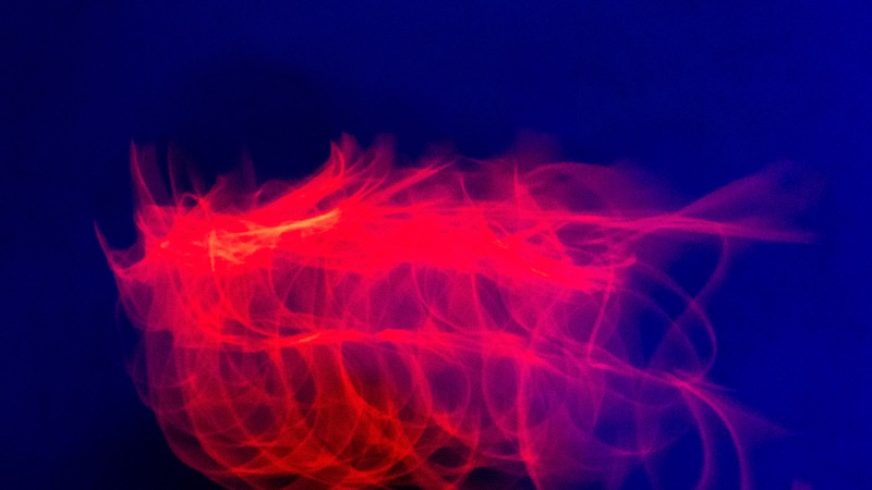 Overdrive, fotografia 156