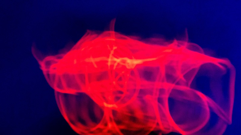 Overdrive, fotografia 157